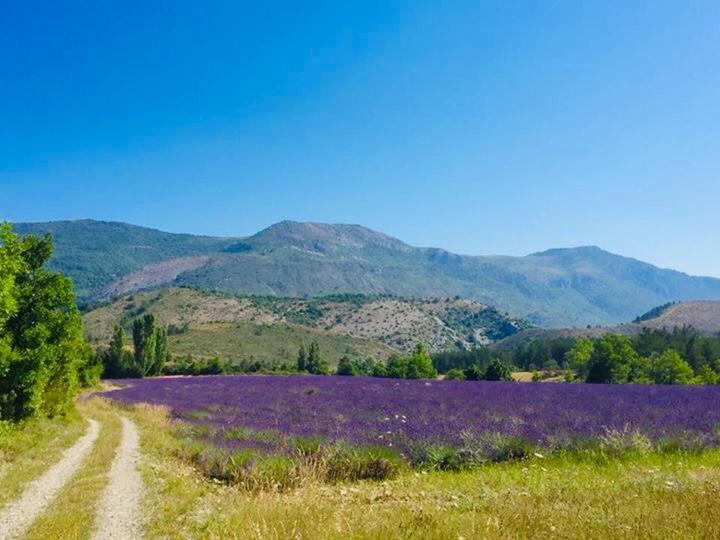 Le Moulin De La Viorne, Gite Avec Piscine Au Coeur De La Nature En Haute-Provence Les Omergues Dış mekan fotoğraf