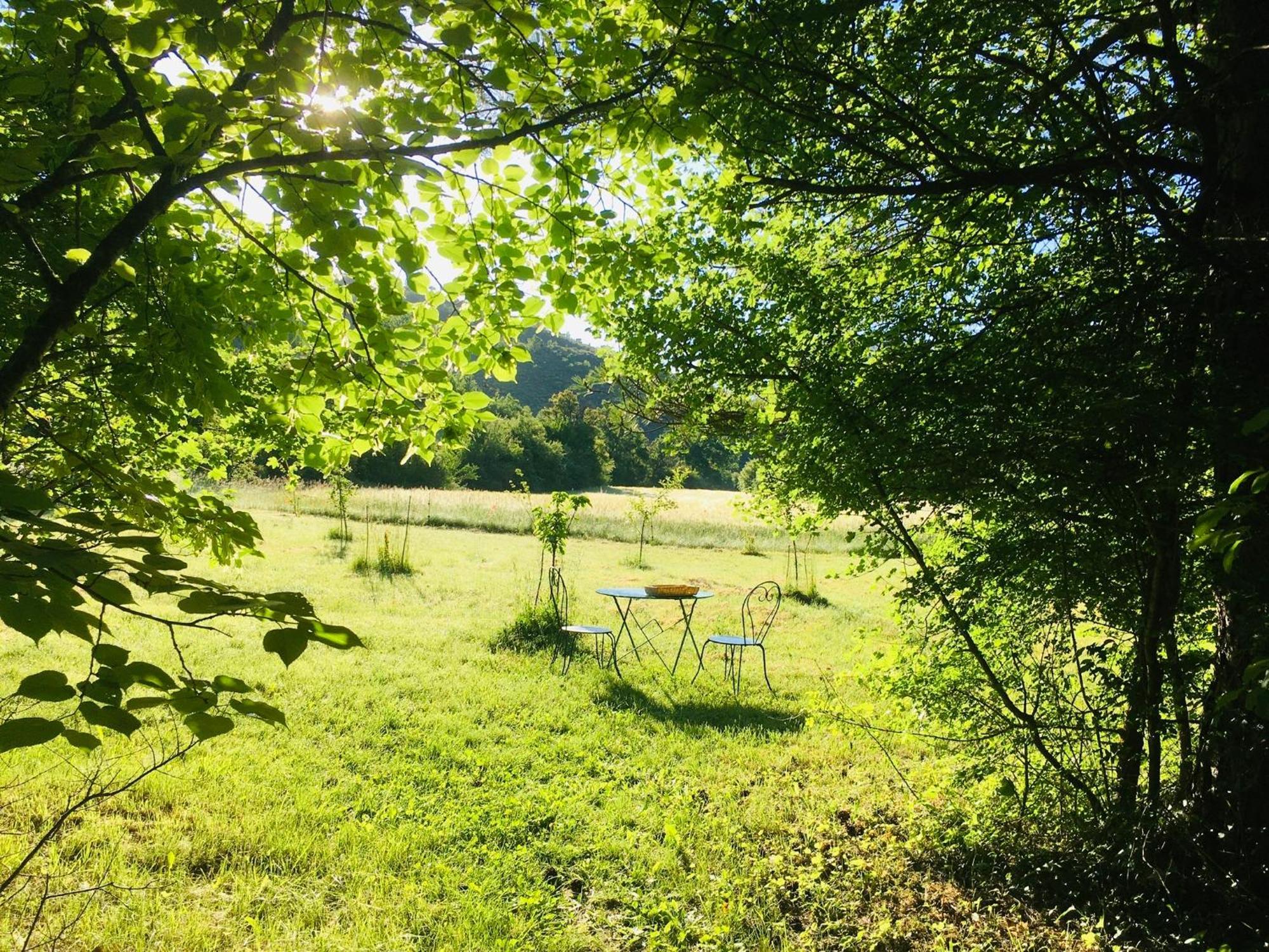 Le Moulin De La Viorne, Gite Avec Piscine Au Coeur De La Nature En Haute-Provence Les Omergues Dış mekan fotoğraf