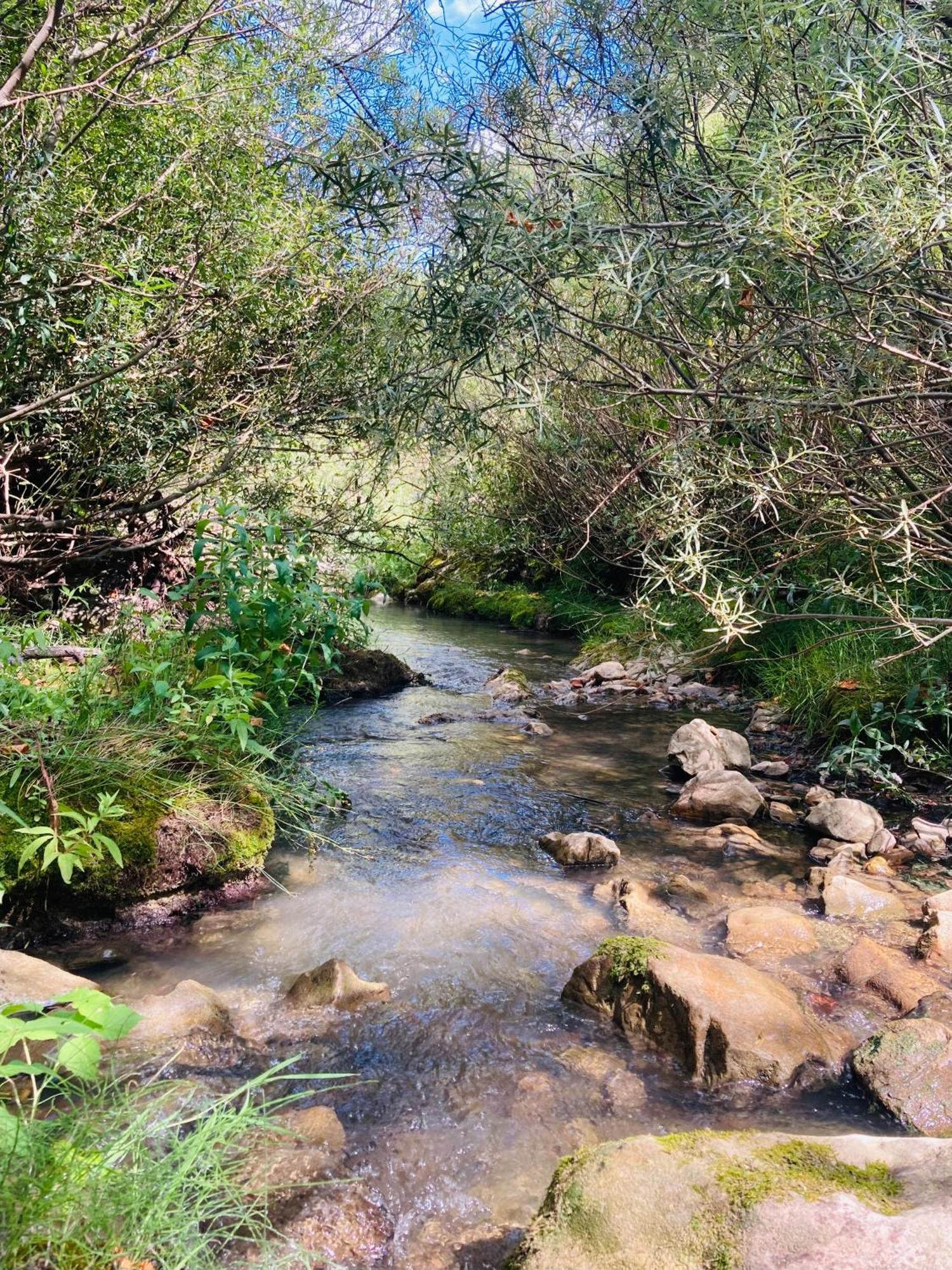 Le Moulin De La Viorne, Gite Avec Piscine Au Coeur De La Nature En Haute-Provence Les Omergues Dış mekan fotoğraf